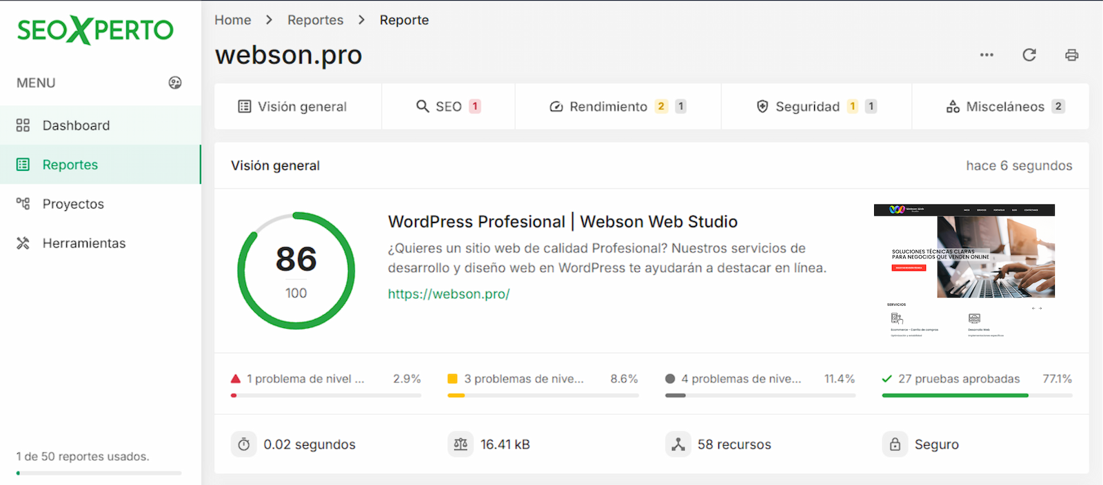 Vista previa de la interfaz del reporte SEO